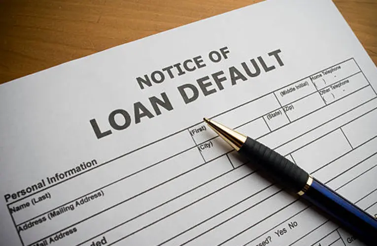 “Types of Loans: Understanding Your Borrowing Options”